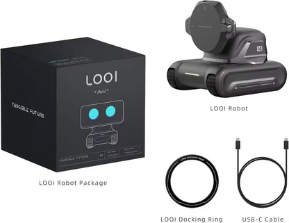 LOOi™ Ai companion robot