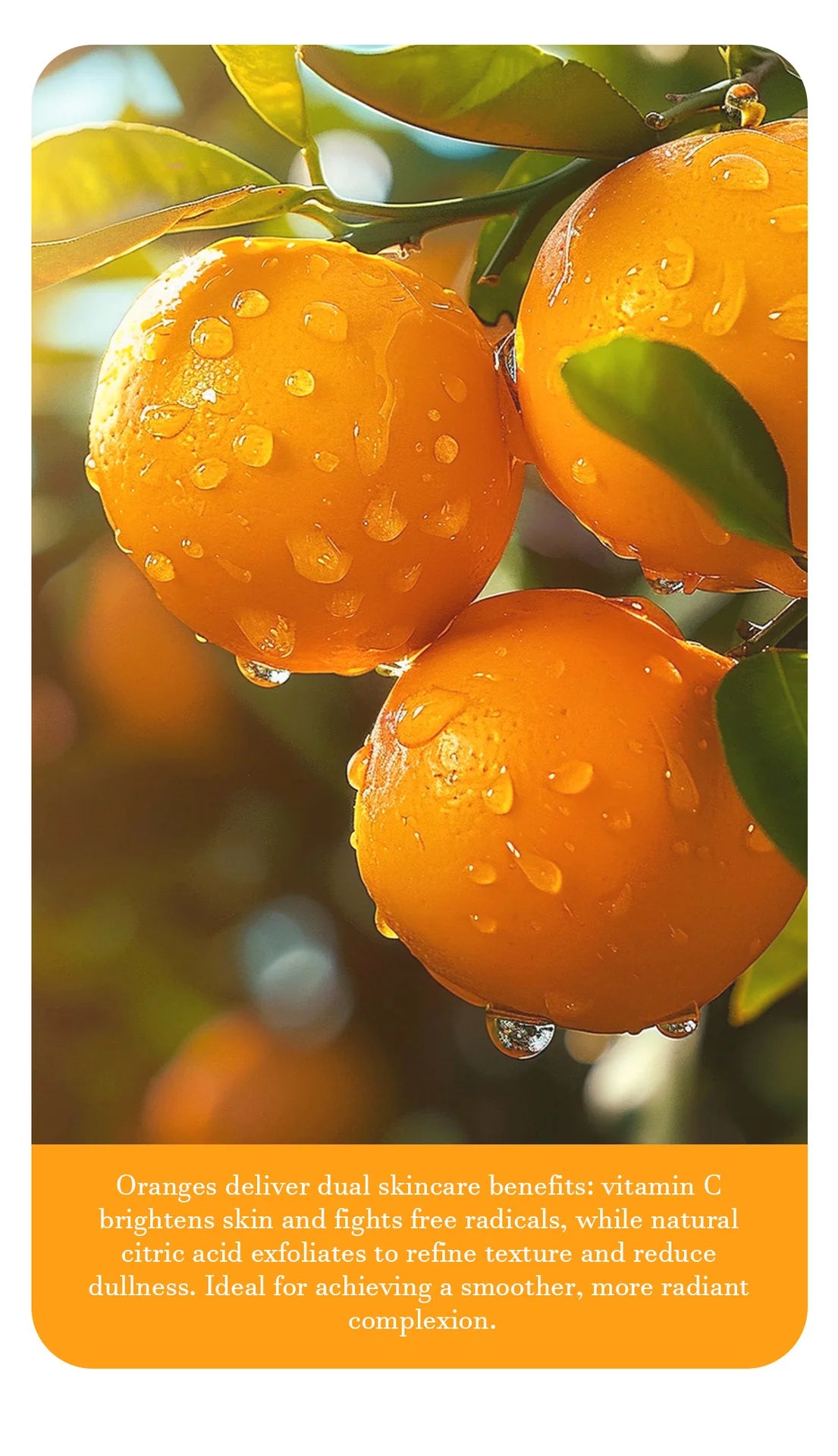 Orange Exfoliating Gel
